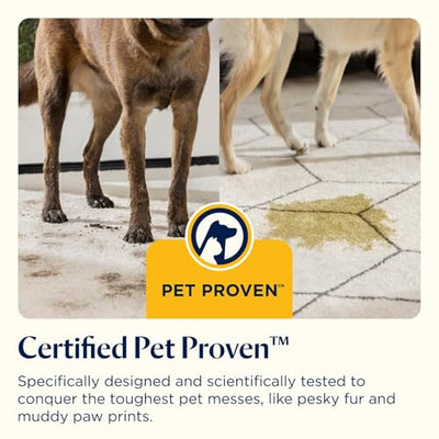 BISSELL SpotClean Pet Limpiador de Manchas Portátil para Alfombras